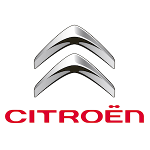 Citroen Koltuk Kılıfı